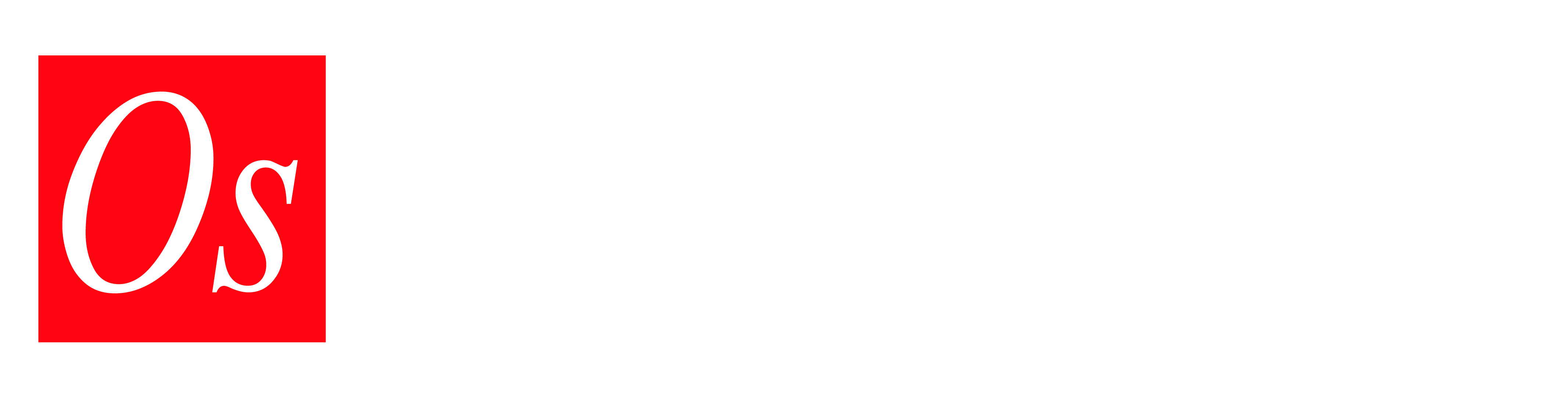 Once Soluciones · Asesores Permanentes en Seguridad Informática